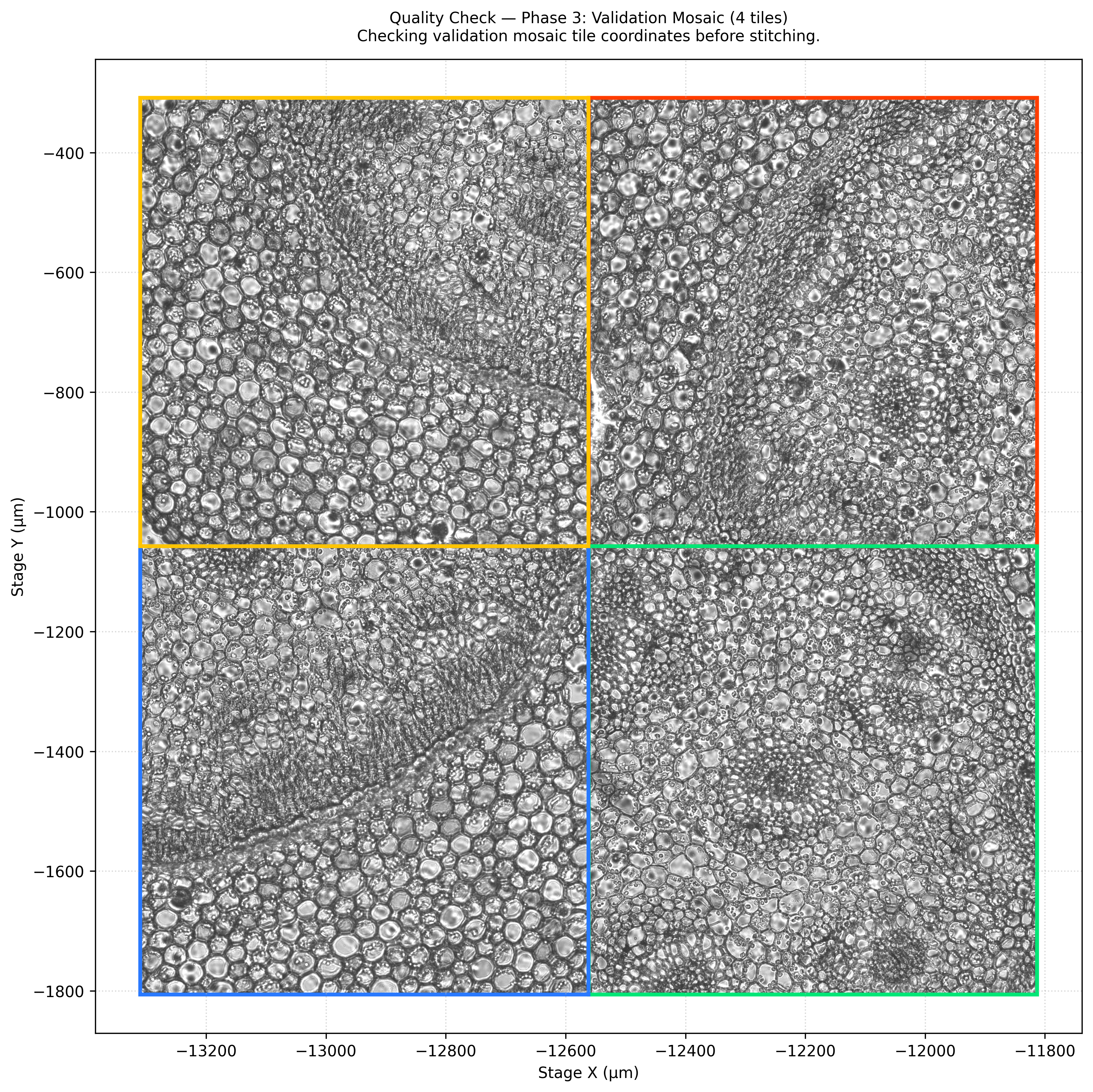 Phase 3-1: Validation Mosaic Layout