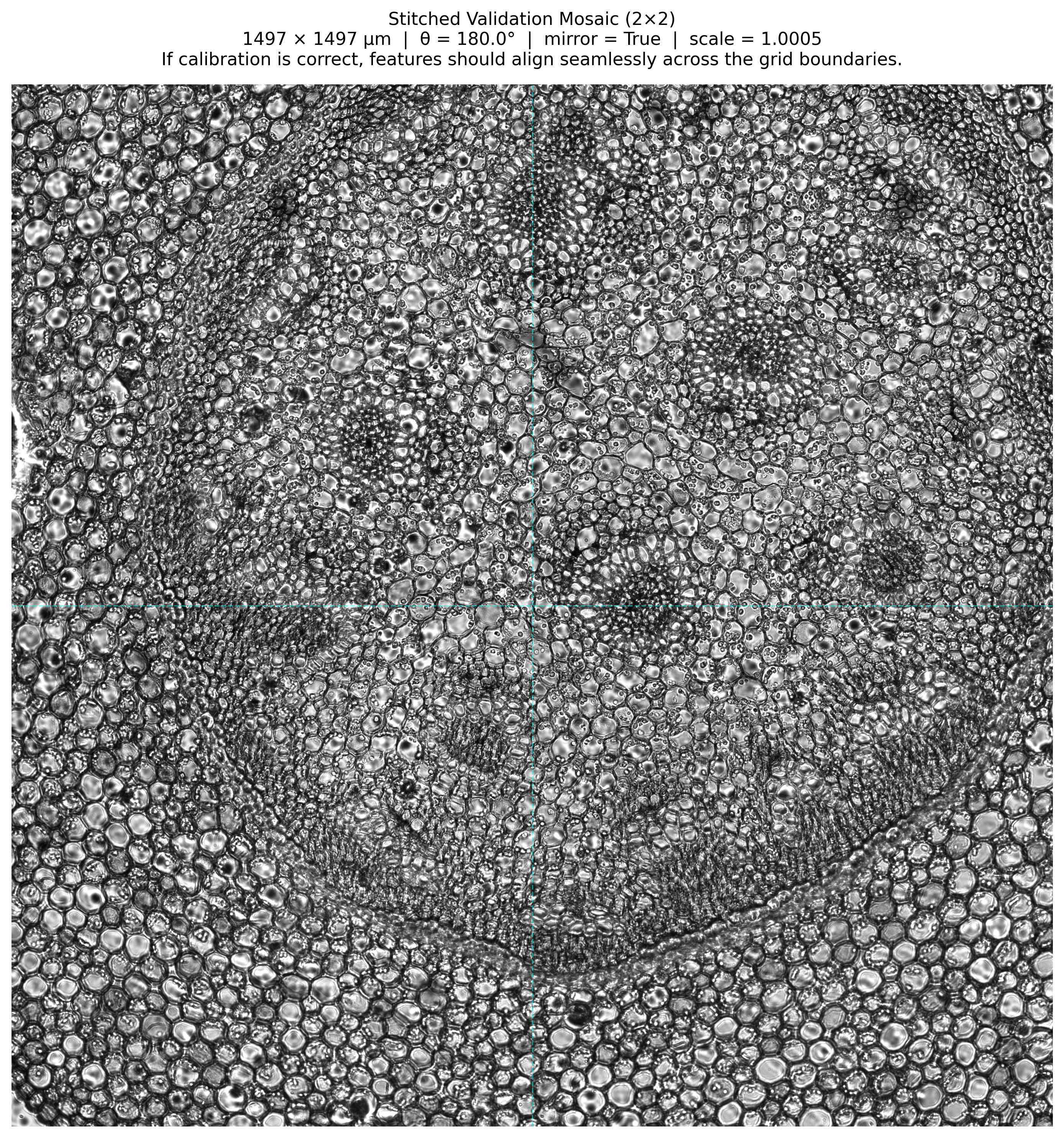 Phase 3-2: Stitched Validation Mosaic