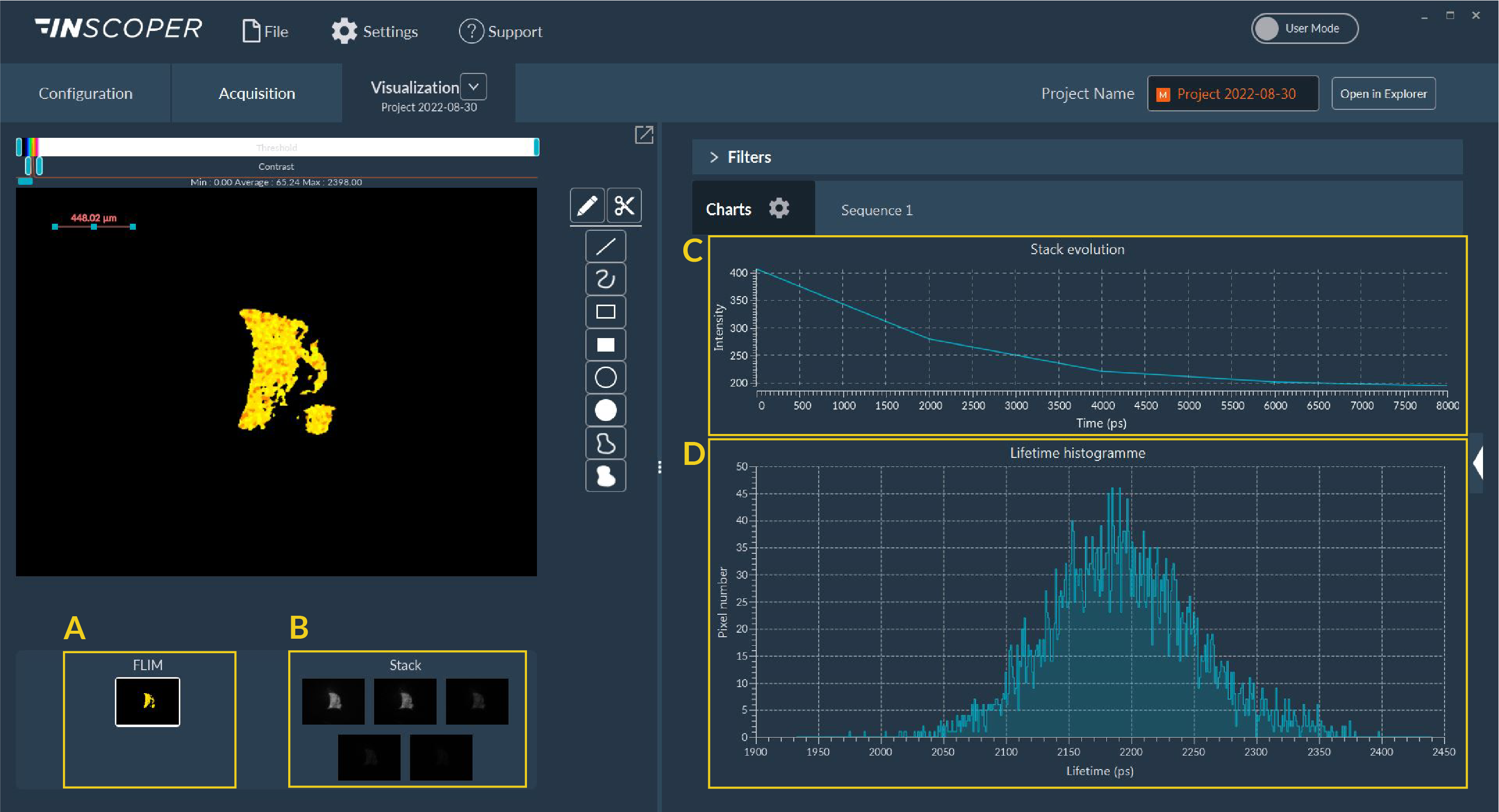 fastFLIM Visualization